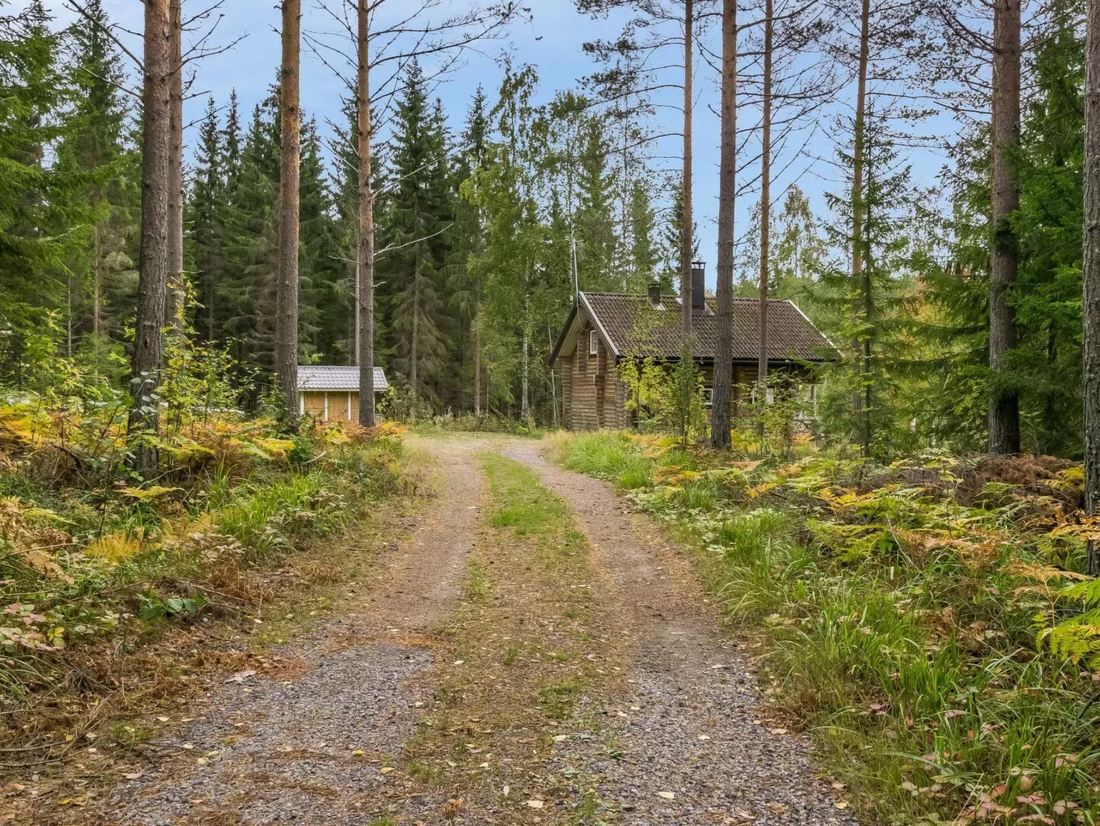 Pikku harrila-Buiten