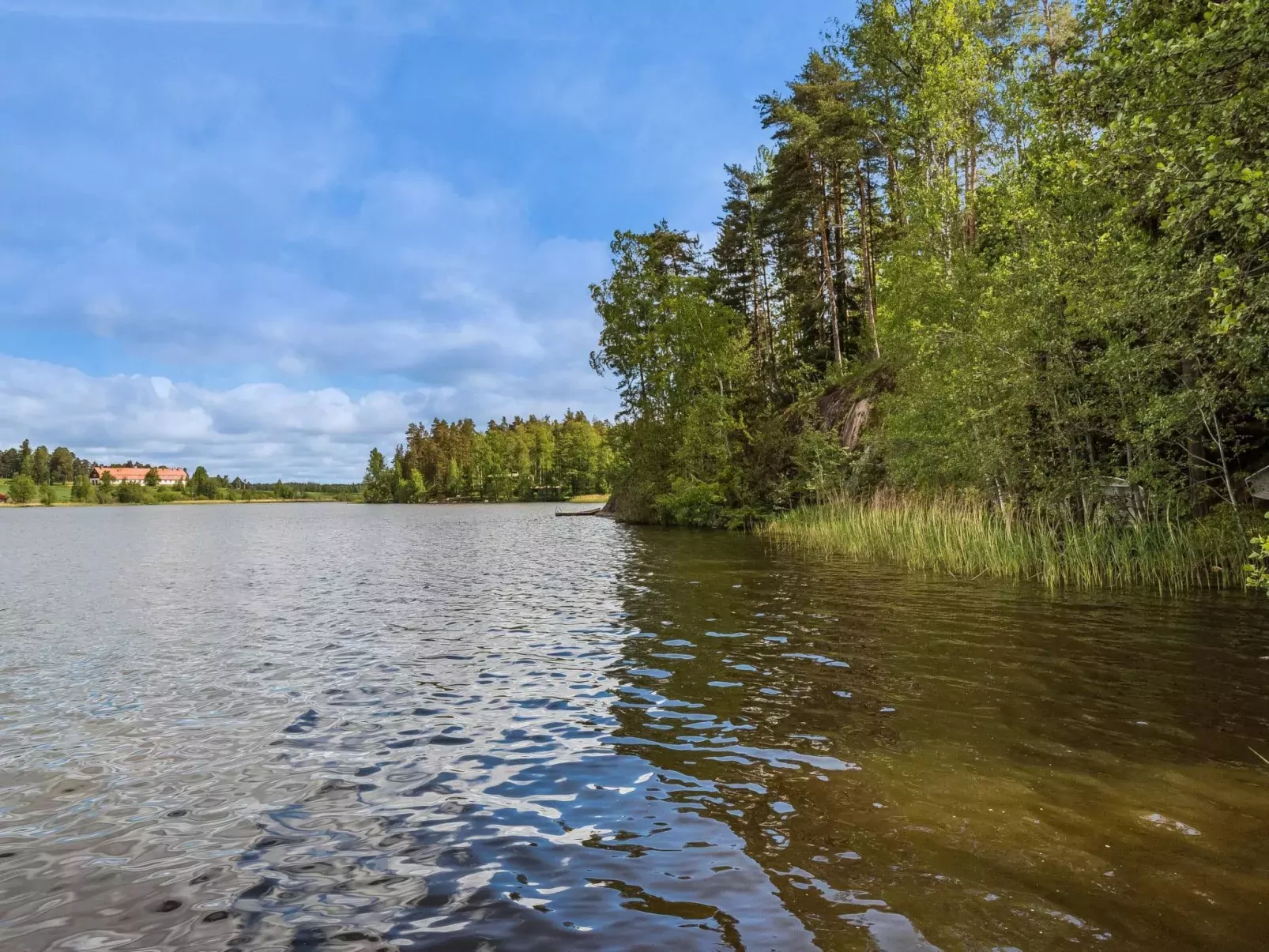 Artturin mökki-Buiten