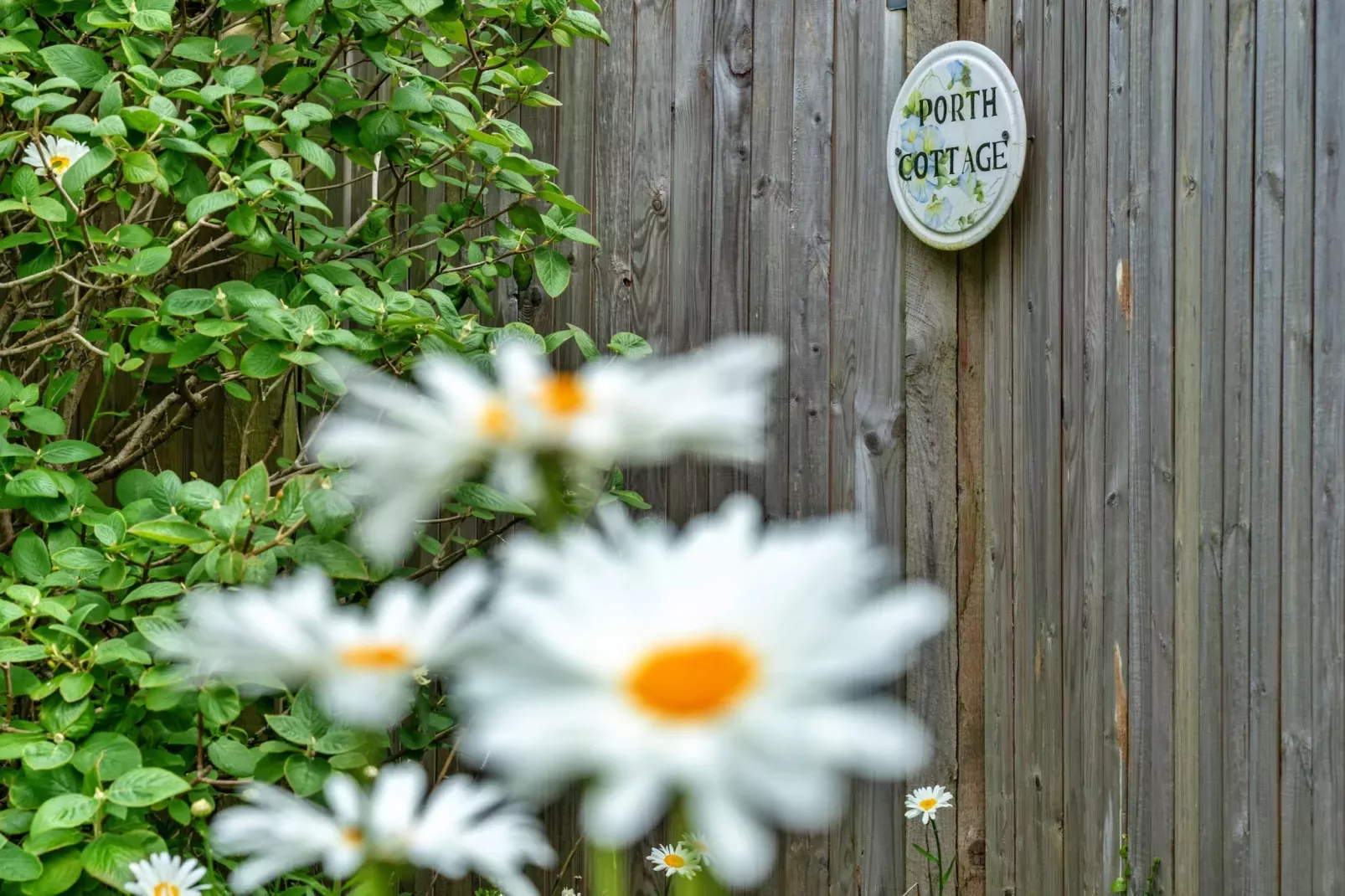 Porth Cottage-Tuinen zomer