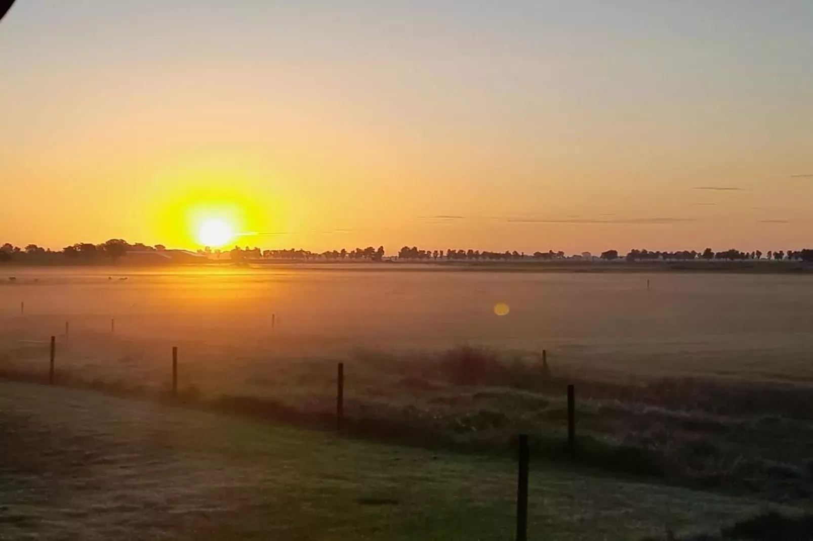Grutto en Turleluur-Uitzicht zomer