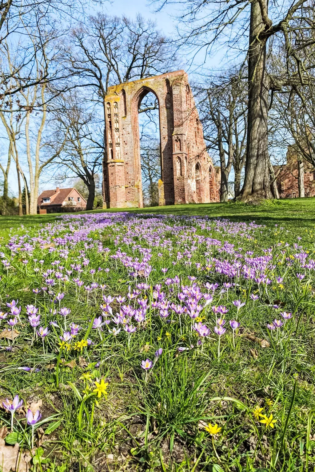 Boddenidyll-Buiten