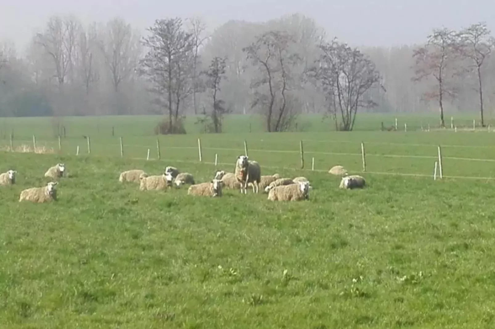 De oude stal-Gebieden zomer 20km