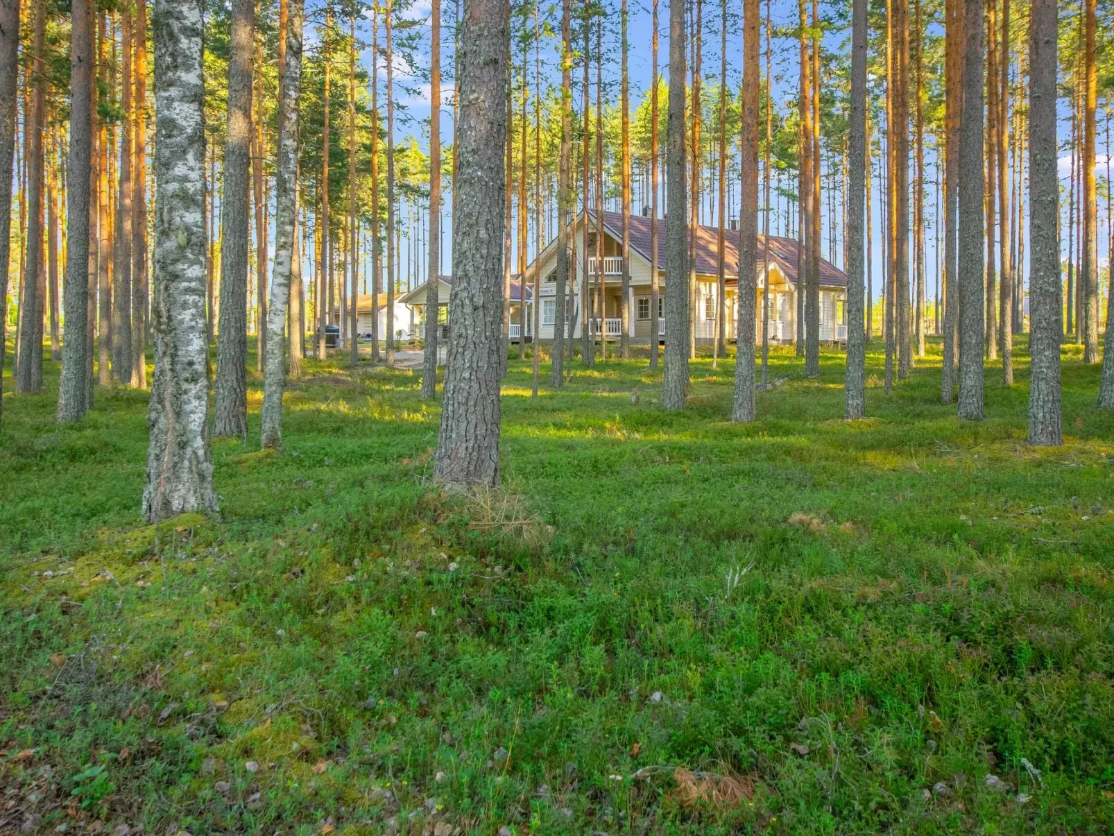 Mäntylahti-Buiten