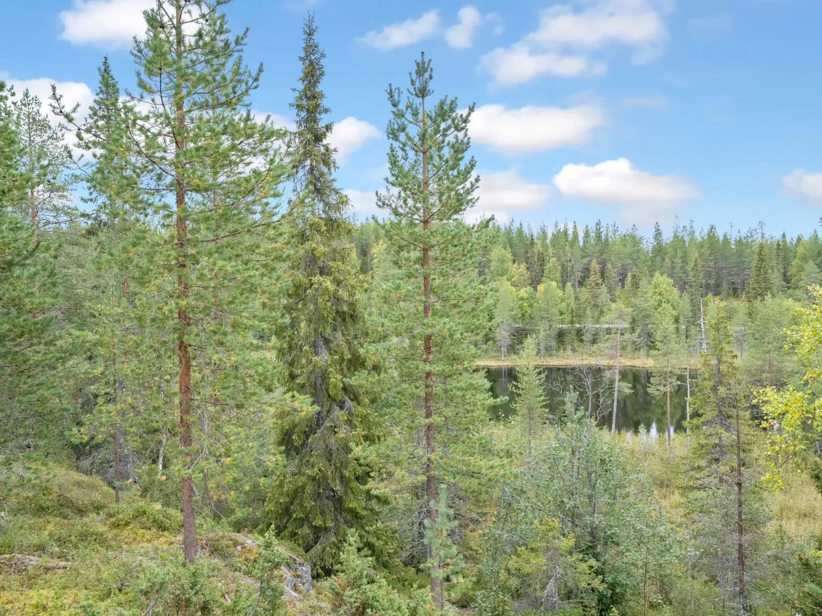 Rukan impivaara-Buiten