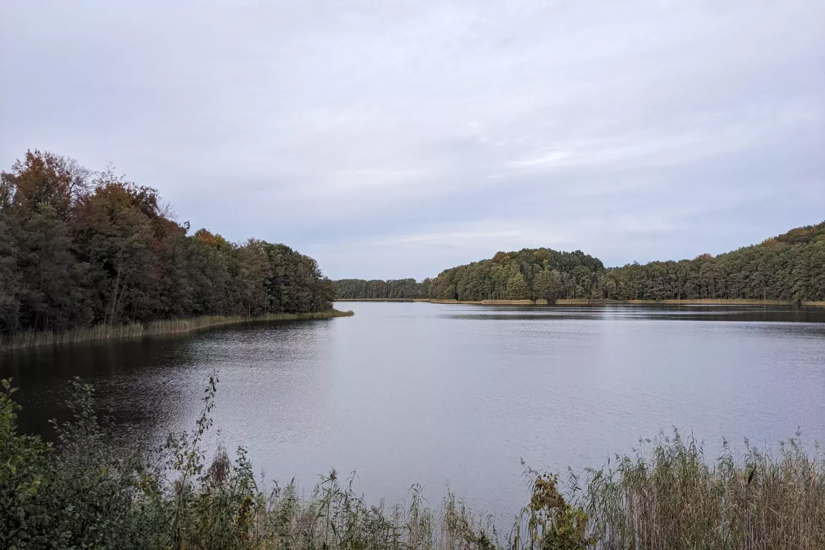 Ferienwohnung Seeblick-Gebieden zomer 1km