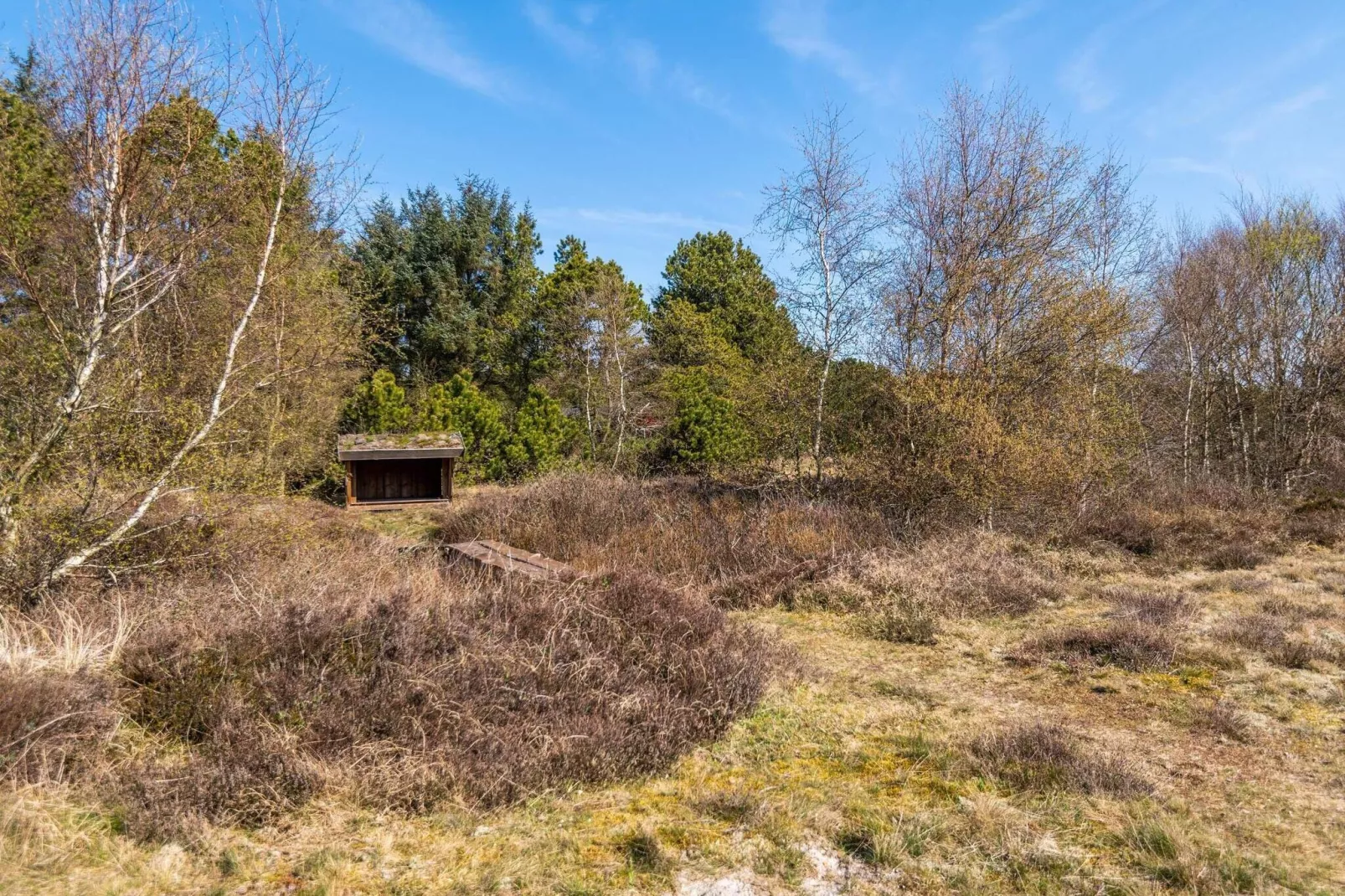 8 persoons vakantie huis in Fanø-Buitenlucht