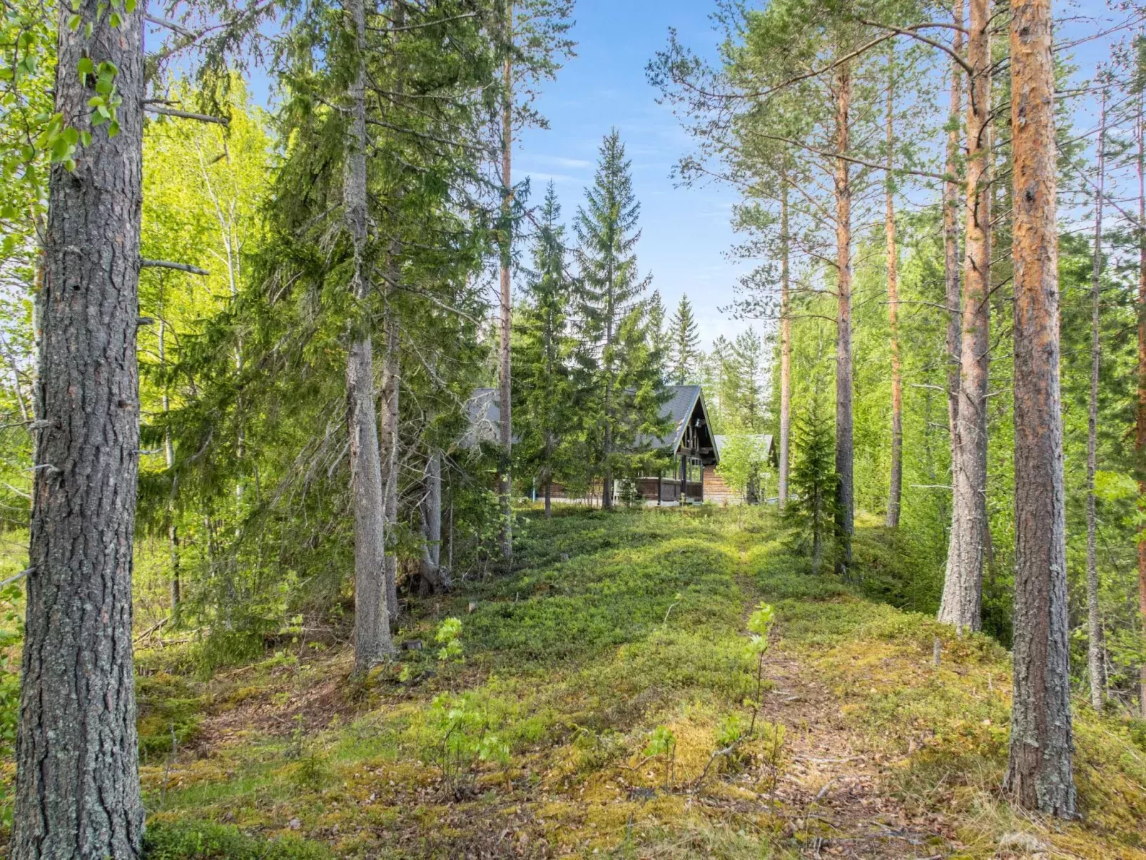 Kotimökki-Buiten