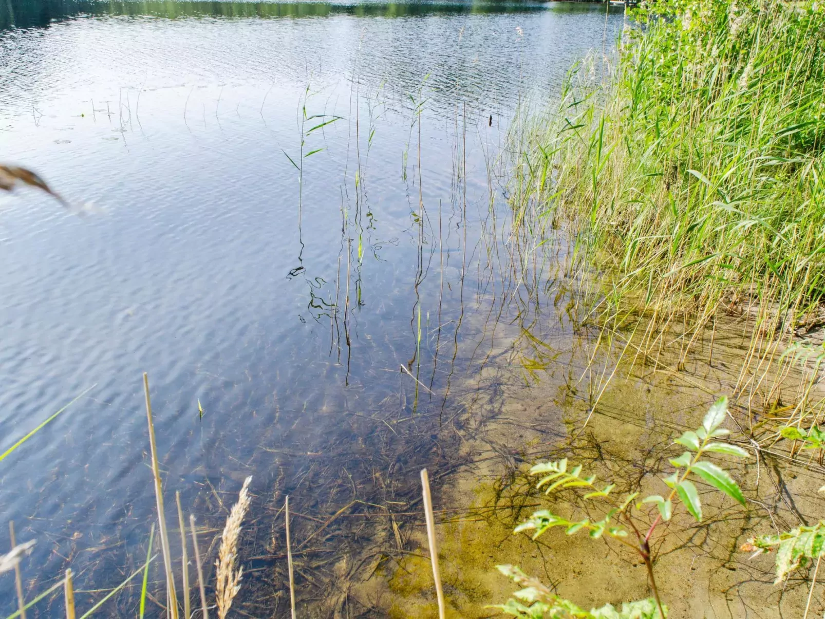 Käränkkä-Buiten