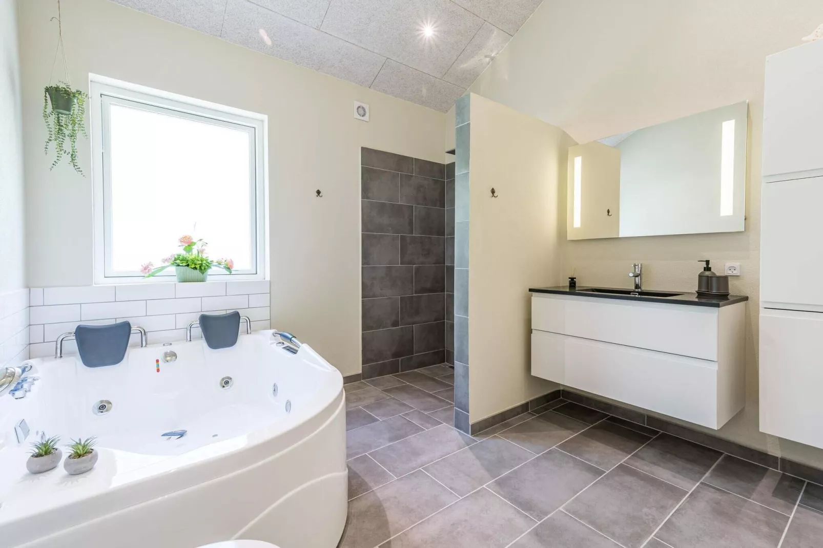 8 persoons vakantie huis in Hemmet-Spa