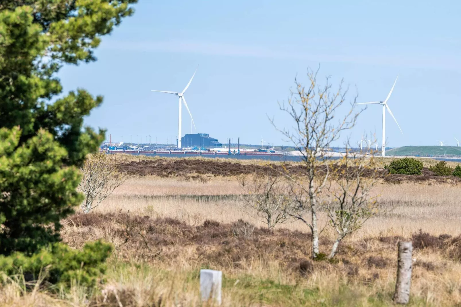 5 persoons vakantie huis in Fanø-Buitenlucht