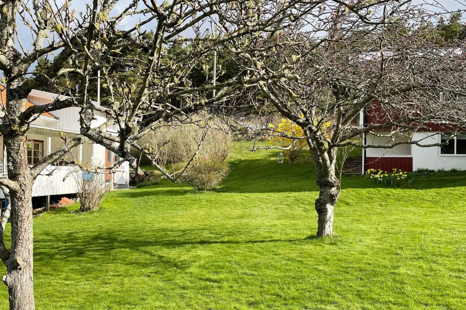 4 persoons vakantie huis in HAKENÄSET-By Traum-Buitenlucht