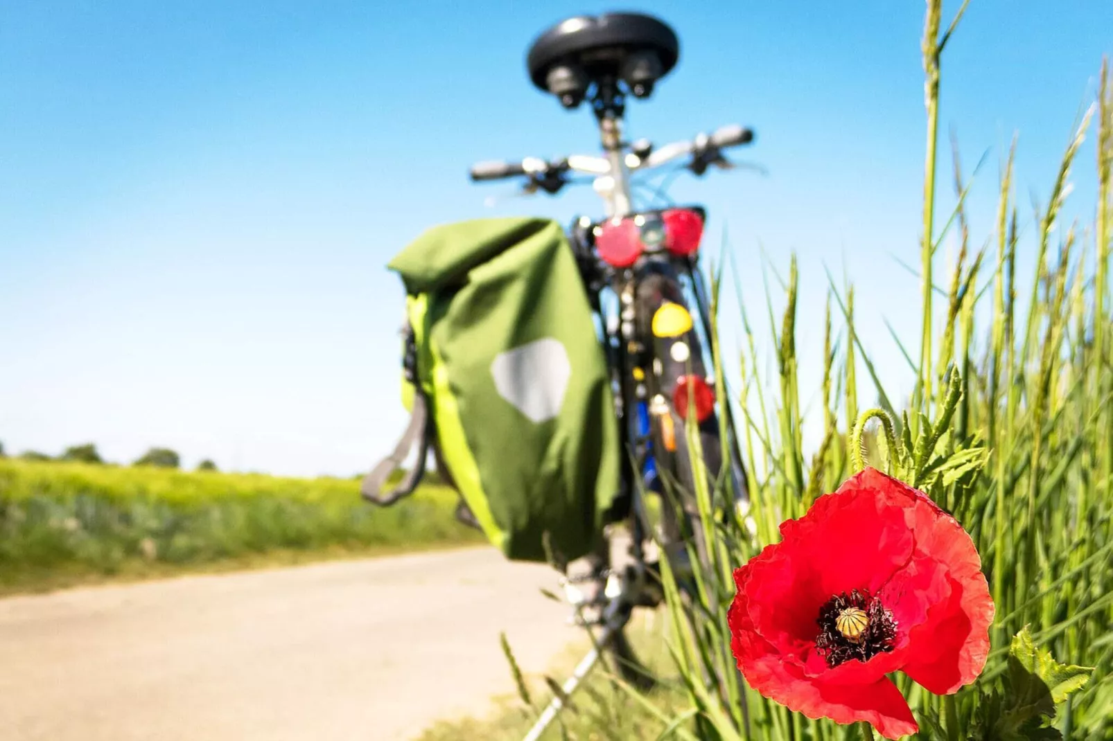 11 persoons vakantie huis in JÄRVSÖ-Niet-getagd