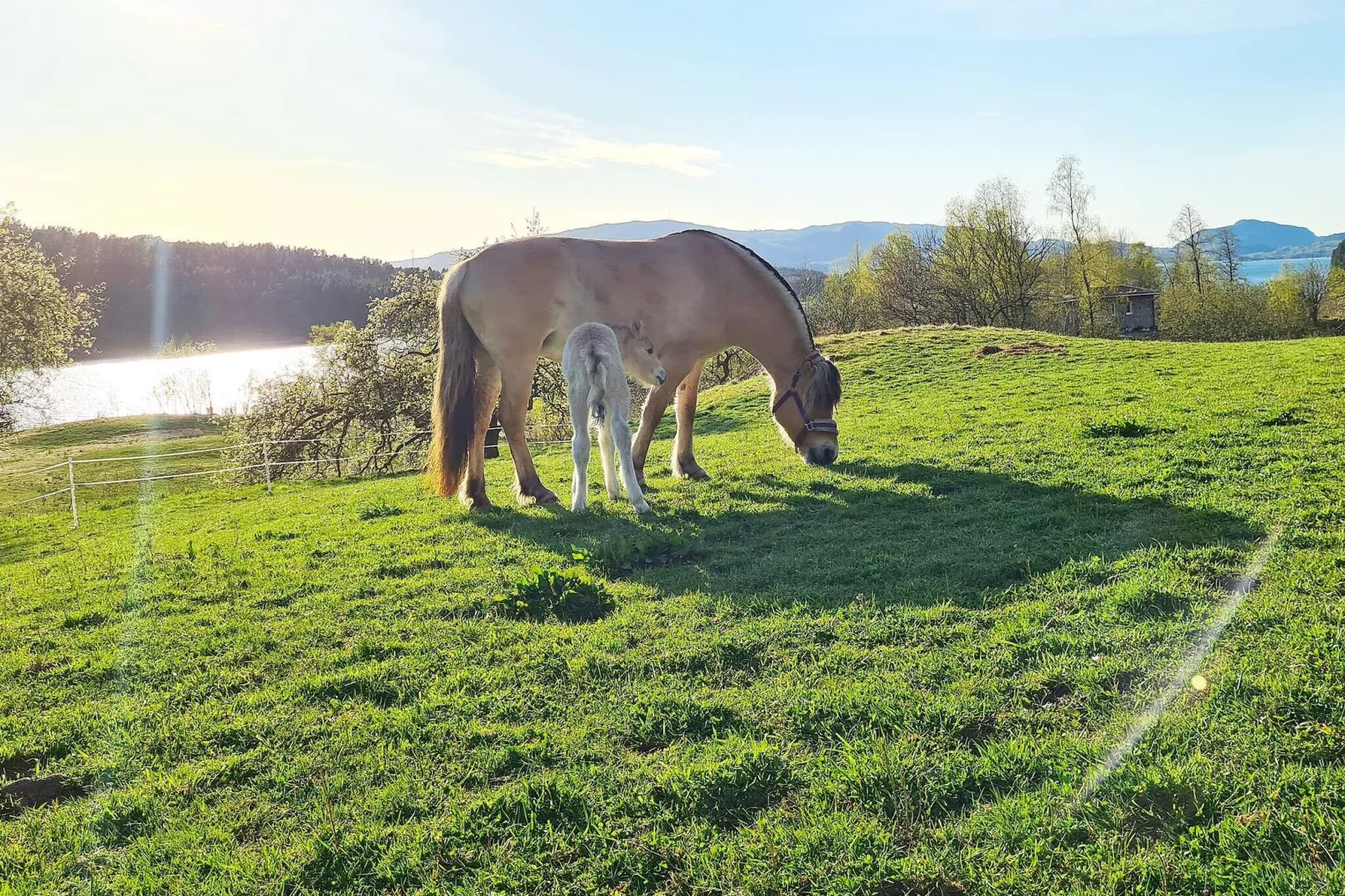 5 persoons vakantie huis in LONEVÅG-By Traum-Niet-getagd
