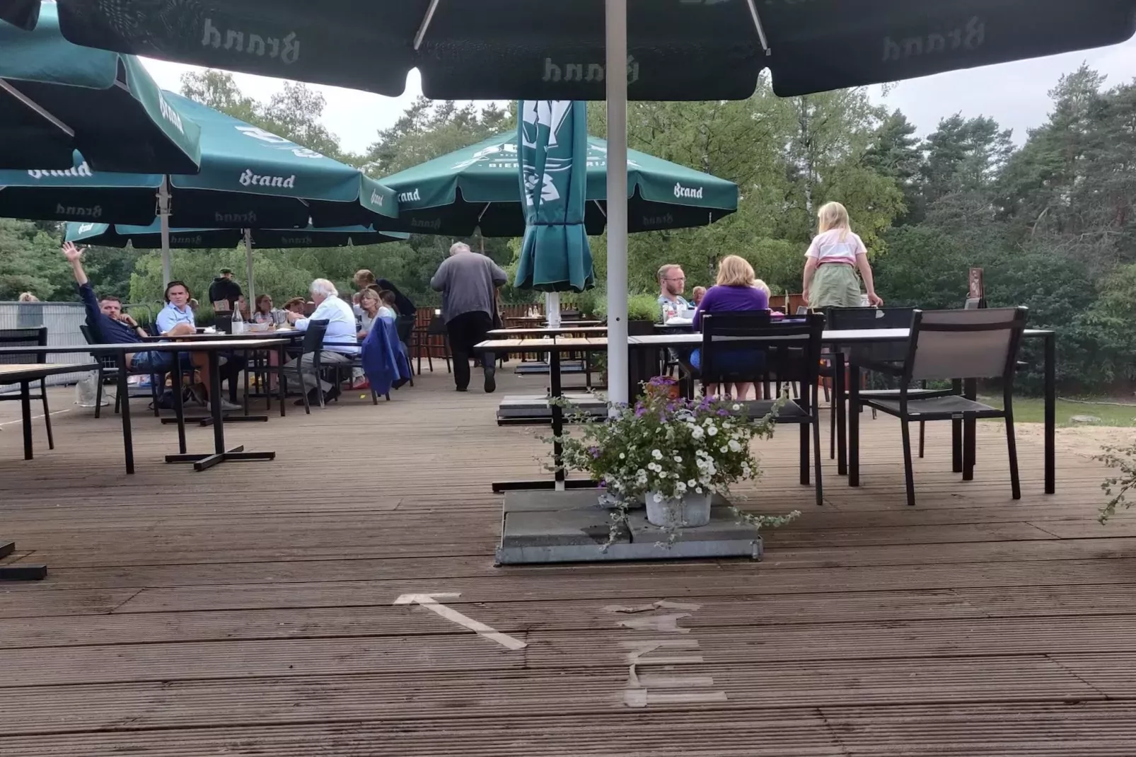 Chalet Edelhert-Gebieden zomer 20km