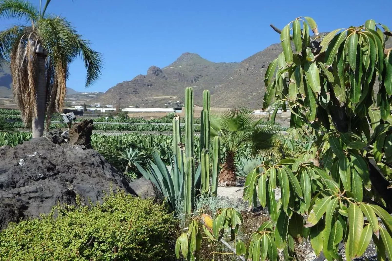 Apartamento en playa Las Carmenes-Sfeer