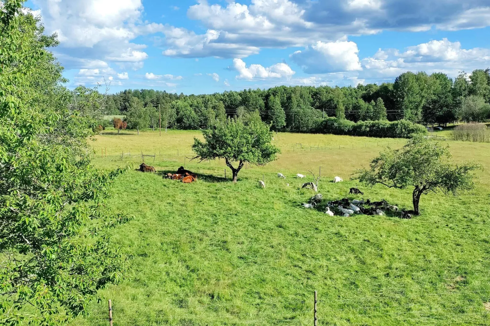 7 persoons vakantie huis in NYKVARN-By Traum-Niet-getagd