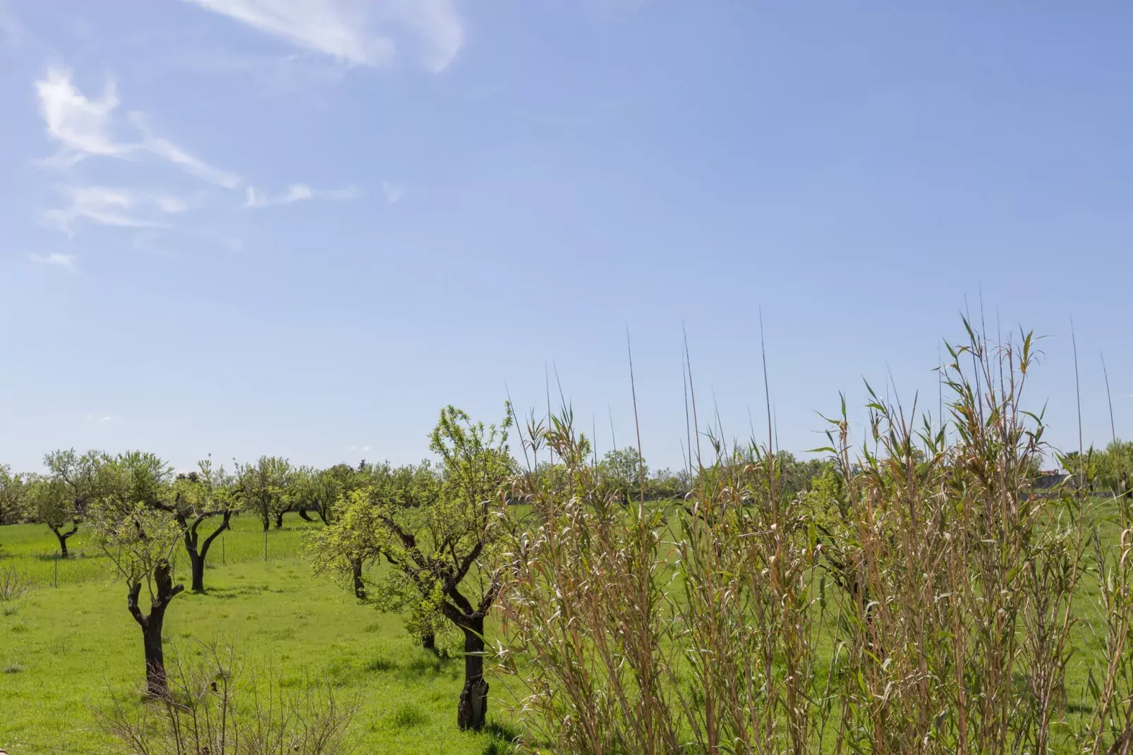 Finca Can Diego-Gebieden zomer 5km