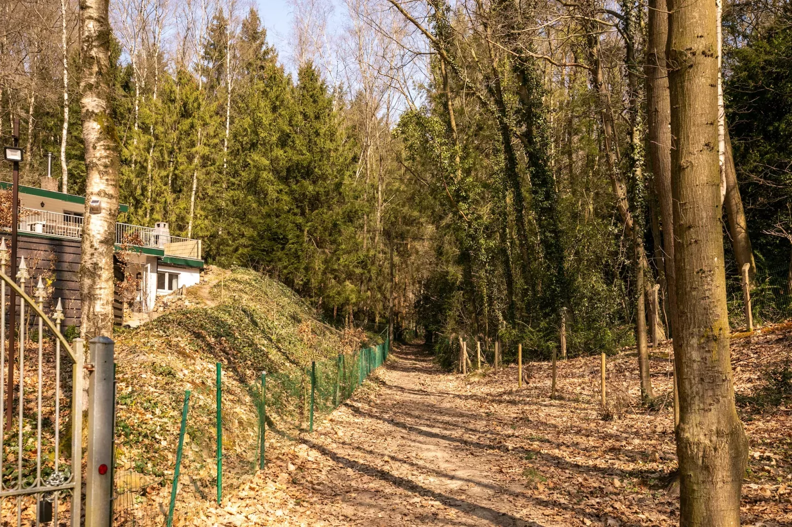 Het Boshuis-Gebieden zomer 1km