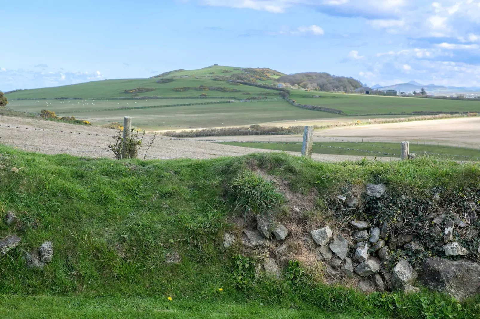 Bryn Du-Gebieden zomer 1km