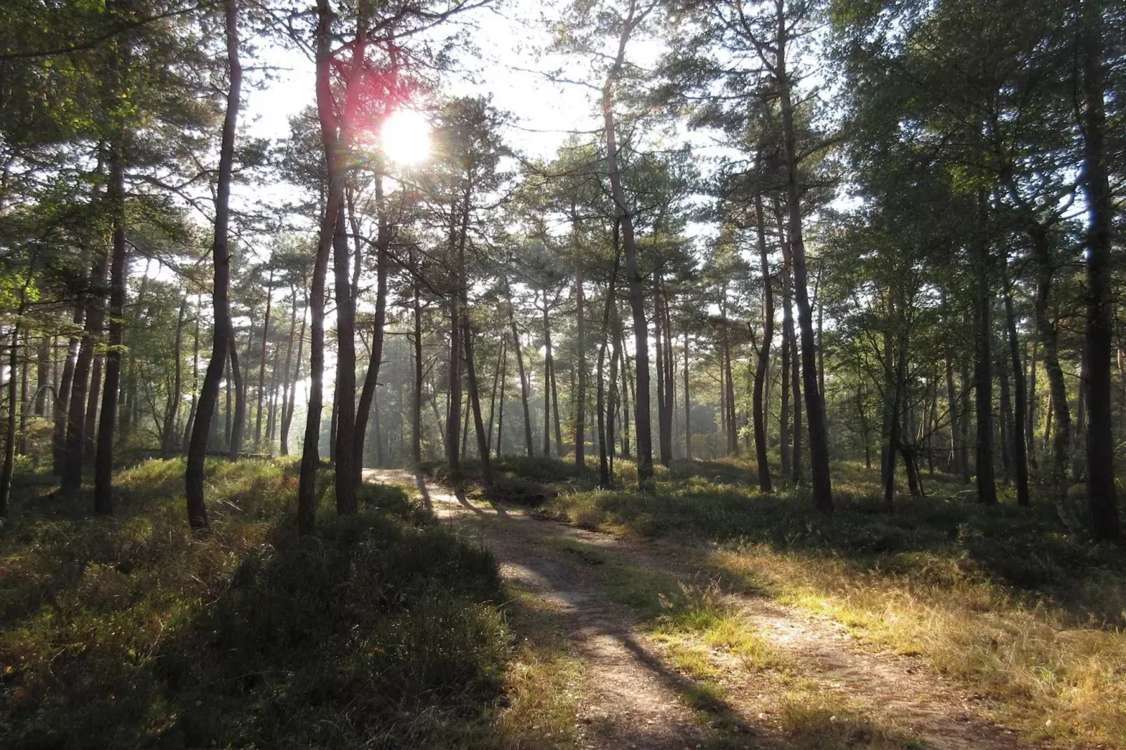 Chalet Bosuil-Gebieden zomer 20km