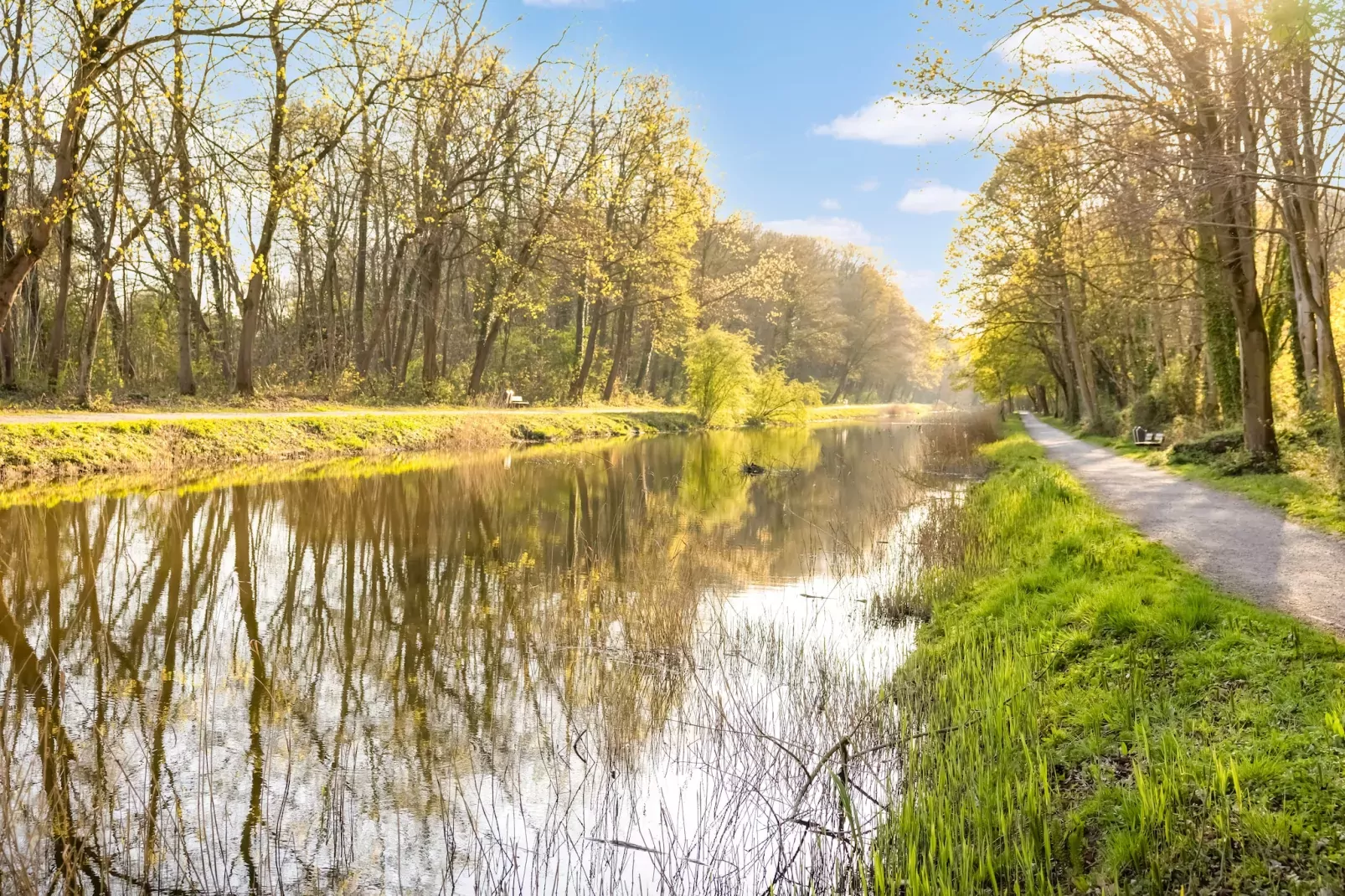 't Bloemenhof-Gebieden zomer 5km