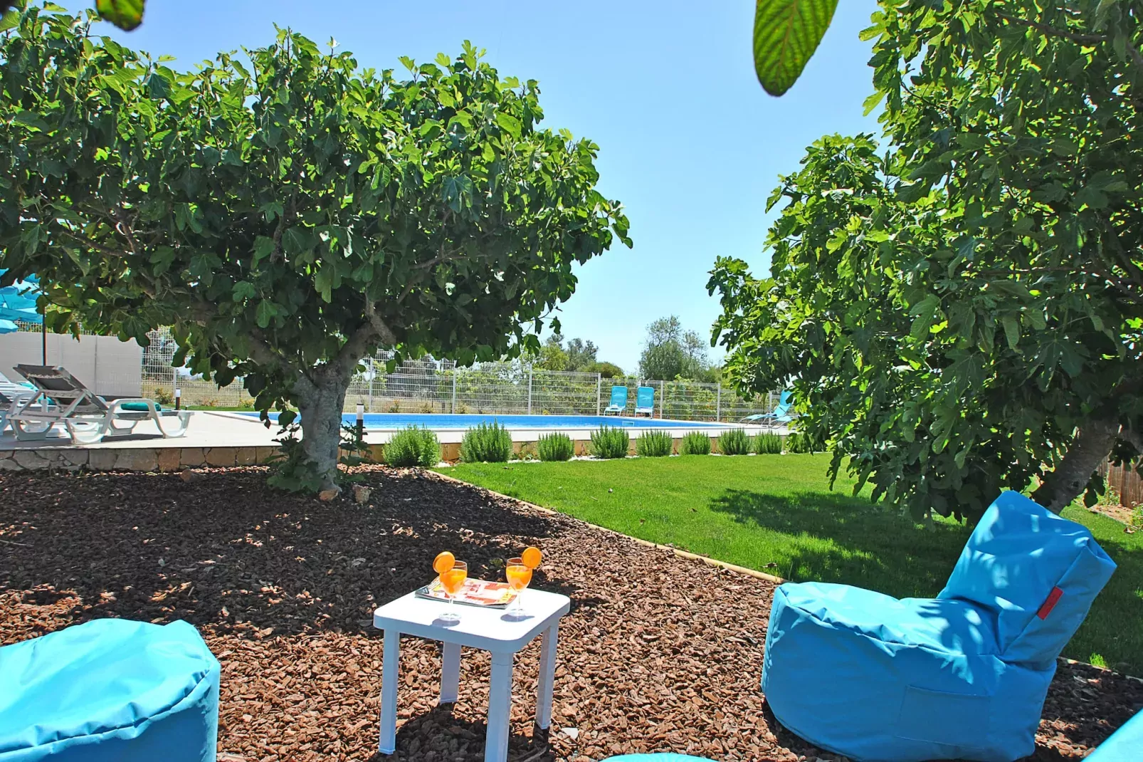 Villa Zanzibar-Tuinen zomer