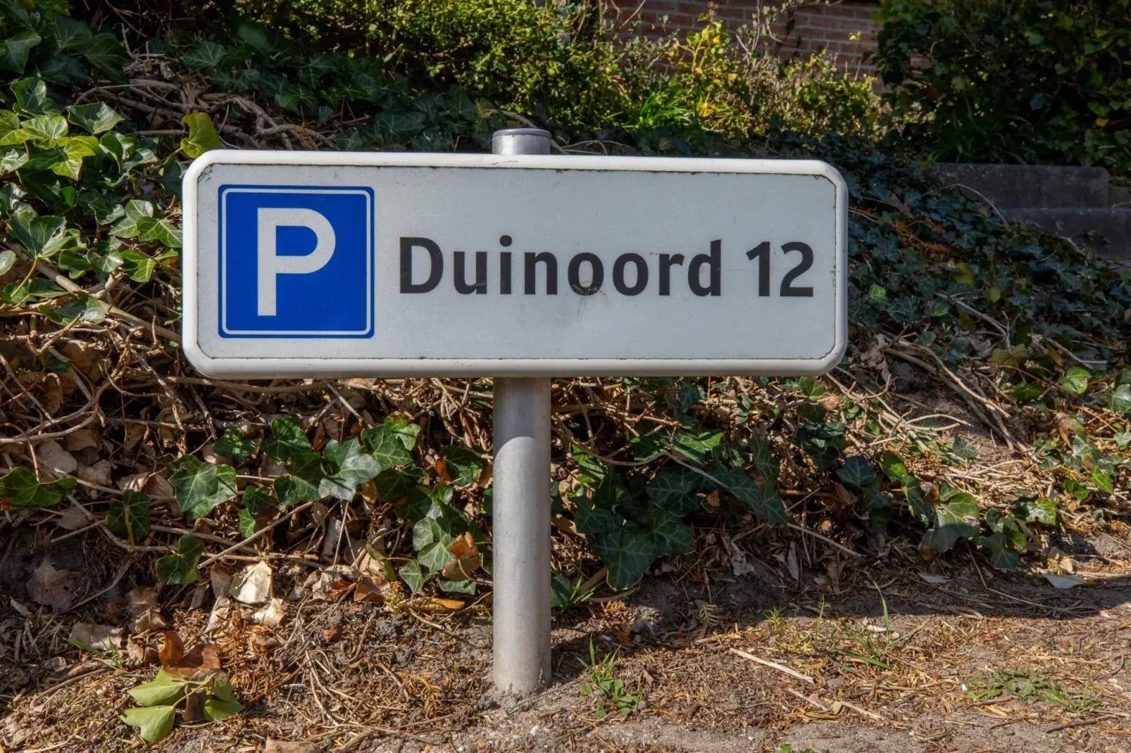 Appartement 'Duinoord' - Duinweg 117-12  Zoutelande-Sfeer