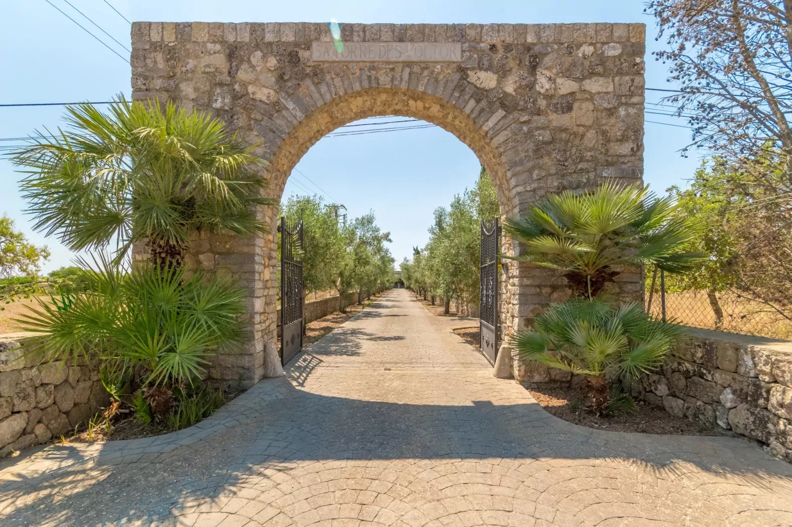 Buitre negro, Finca 5StarsHome Mallorca-Buitenlucht