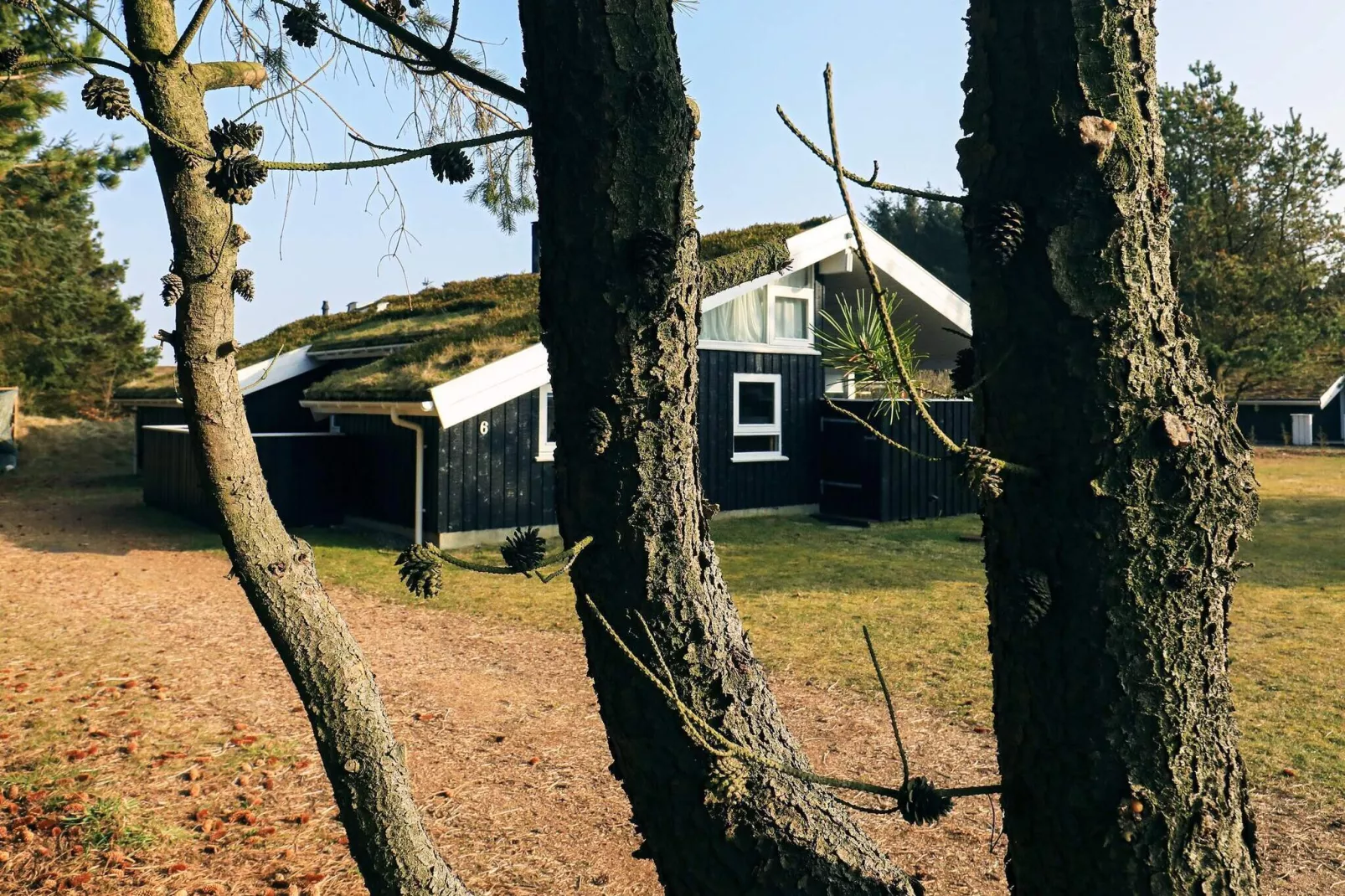 10 persoons vakantie huis in Saltum-By Traum-Uitzicht