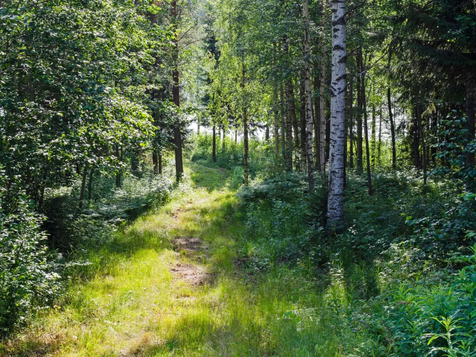 Käränkkä-Buiten