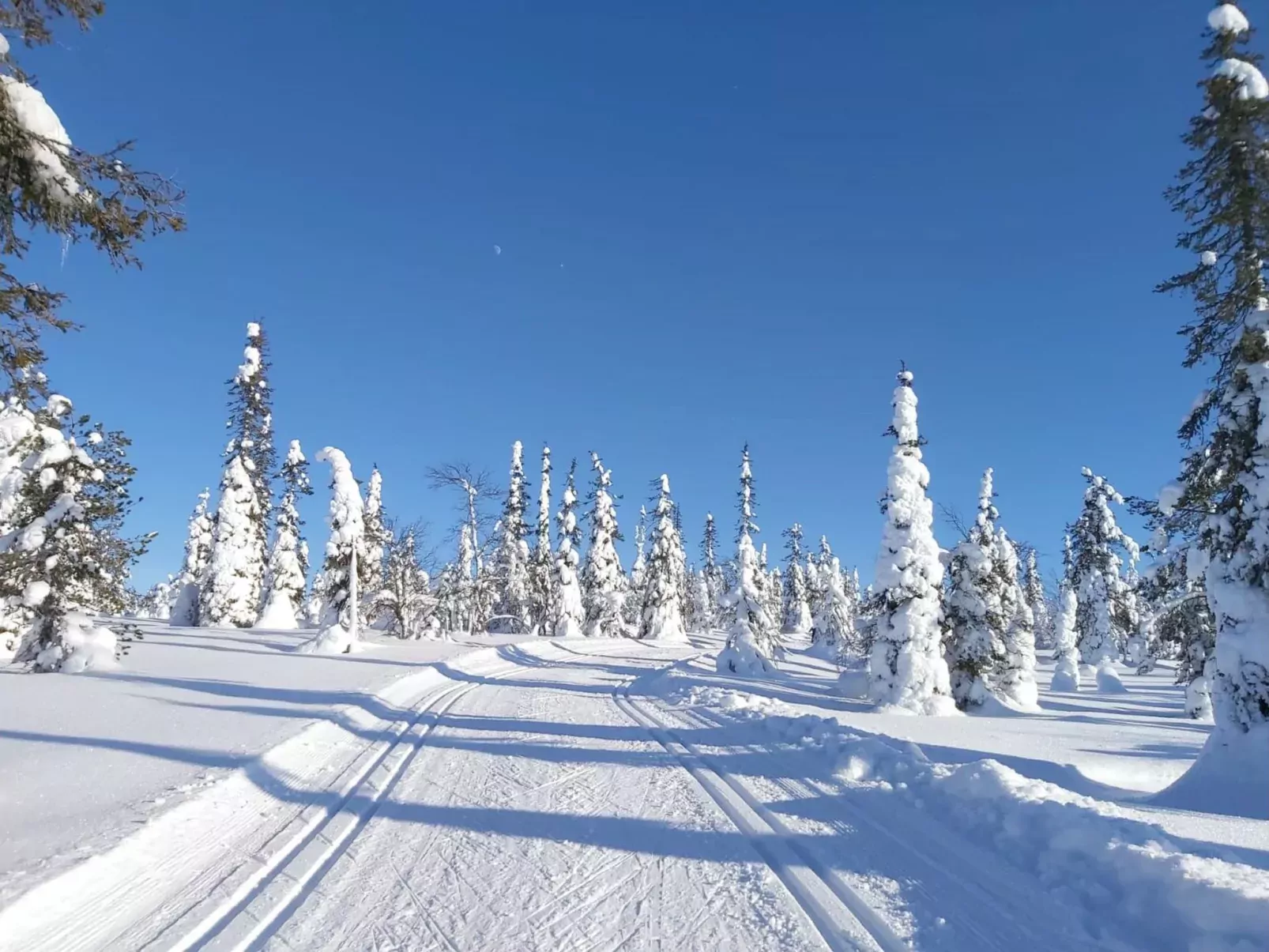 Örtsylä b-Buiten