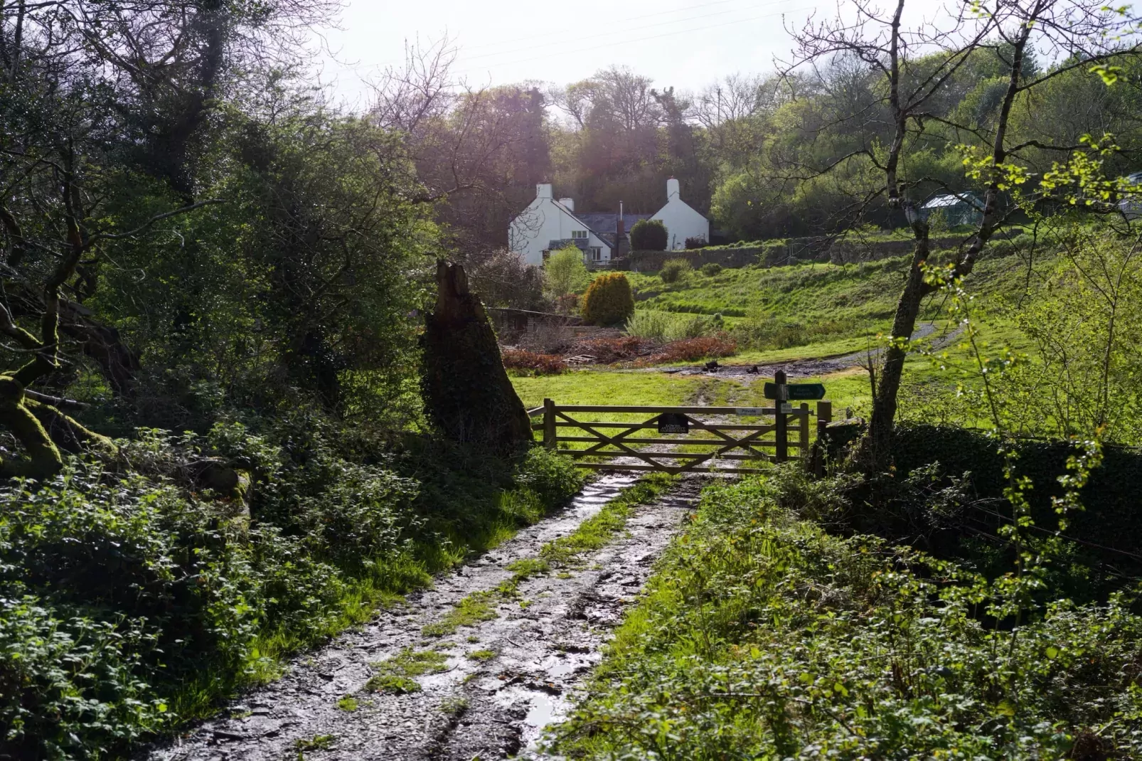 Lower Aylescott Farmhouse-Tuinen zomer