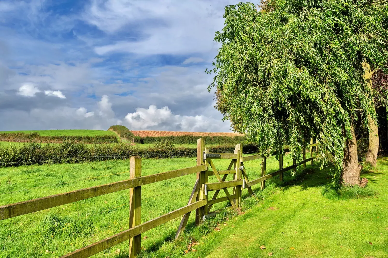 The Barn at Prowses Farm-Tuinen zomer