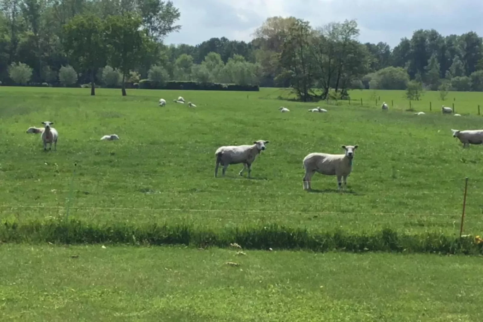 Bucaneve-Gebieden zomer 20km