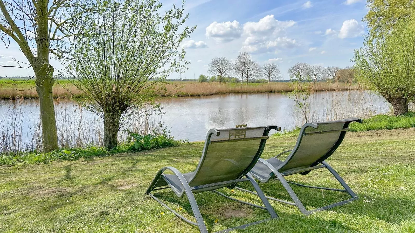 Biesboschhuisje-Uitzicht zomer