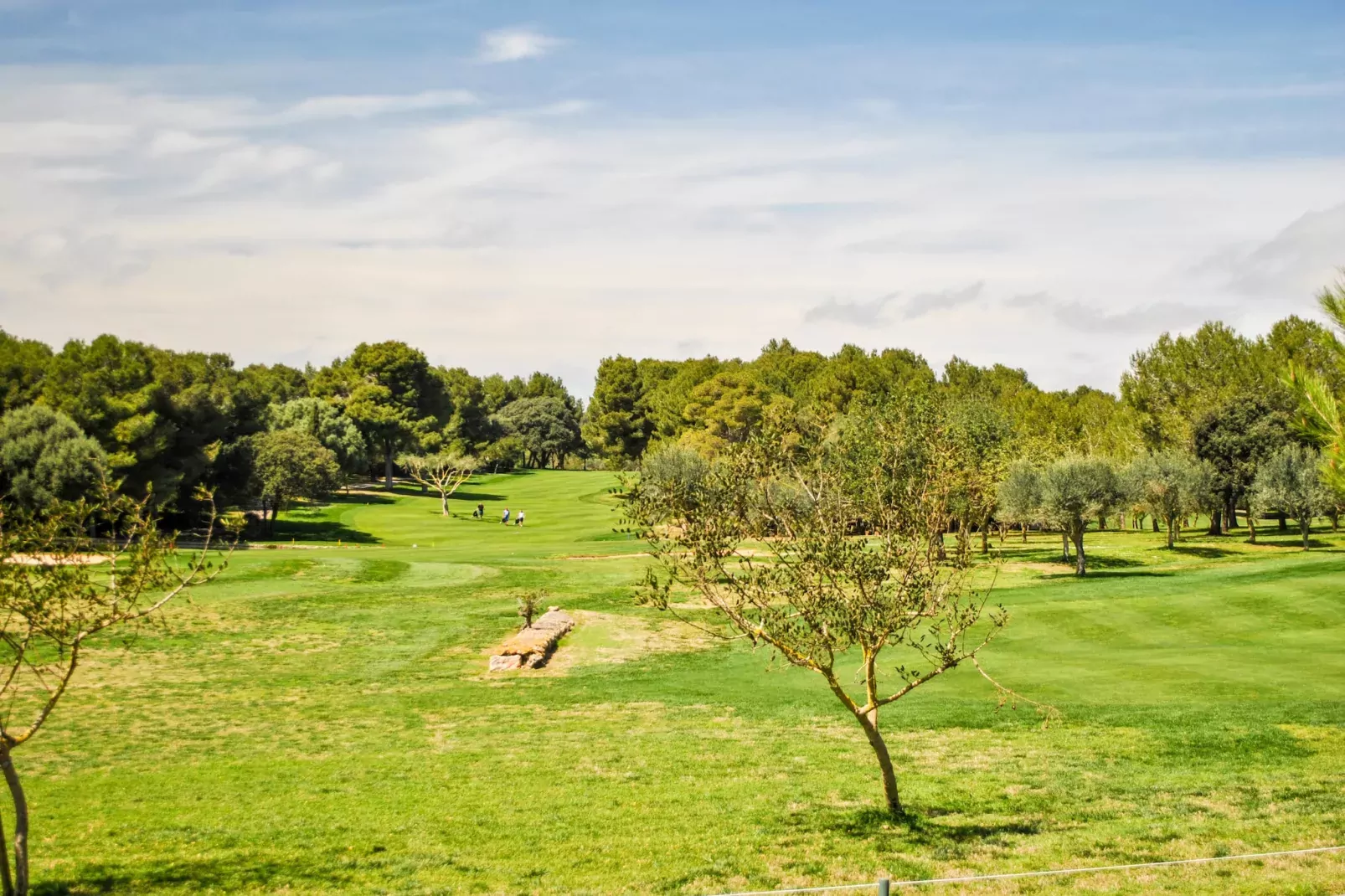 Wundeschönes & Nachhaltiges Casa Cap Vermell-Gebieden zomer 1km