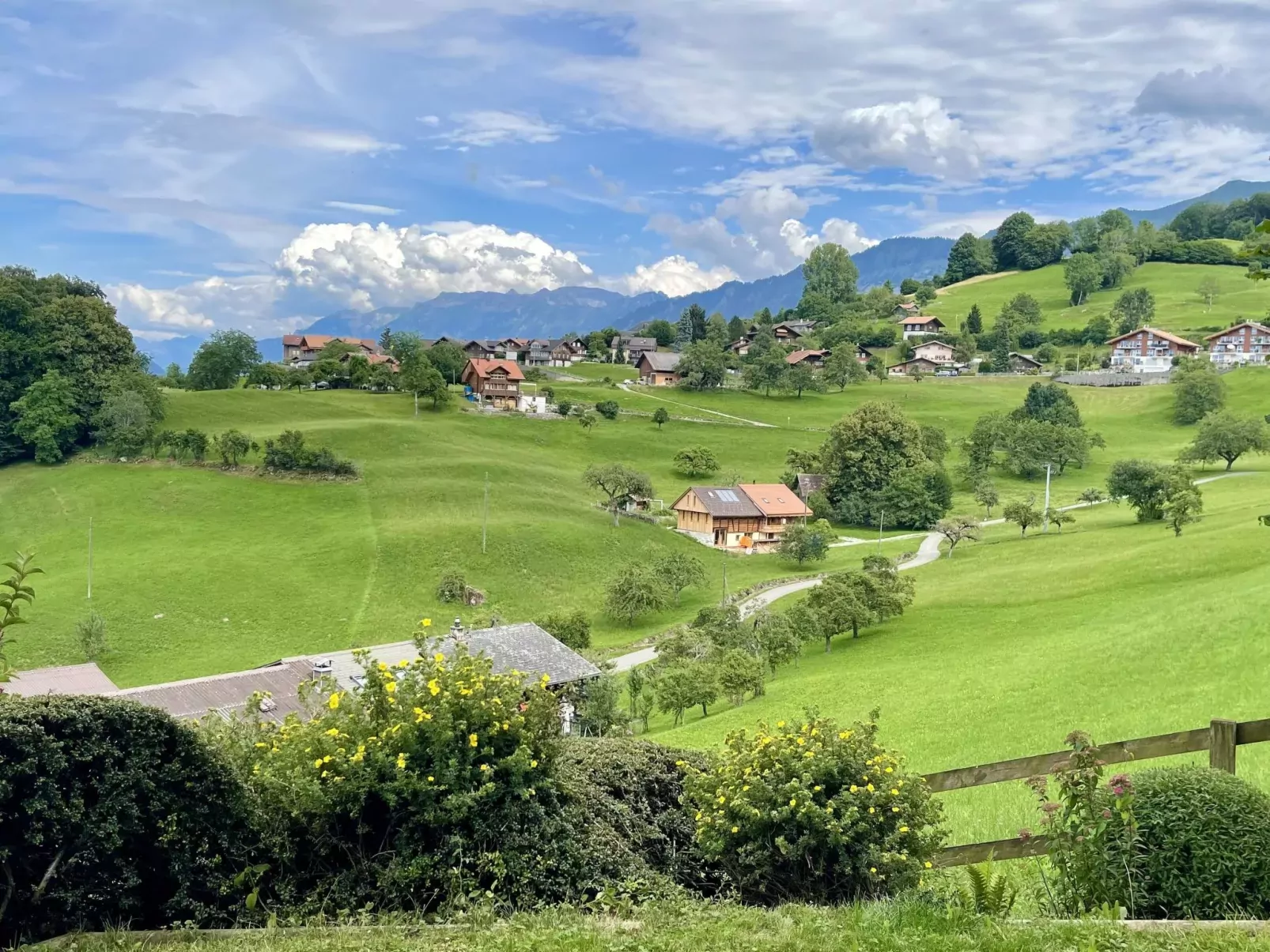 Panoramaferienwohnung Waldkircher-Buiten