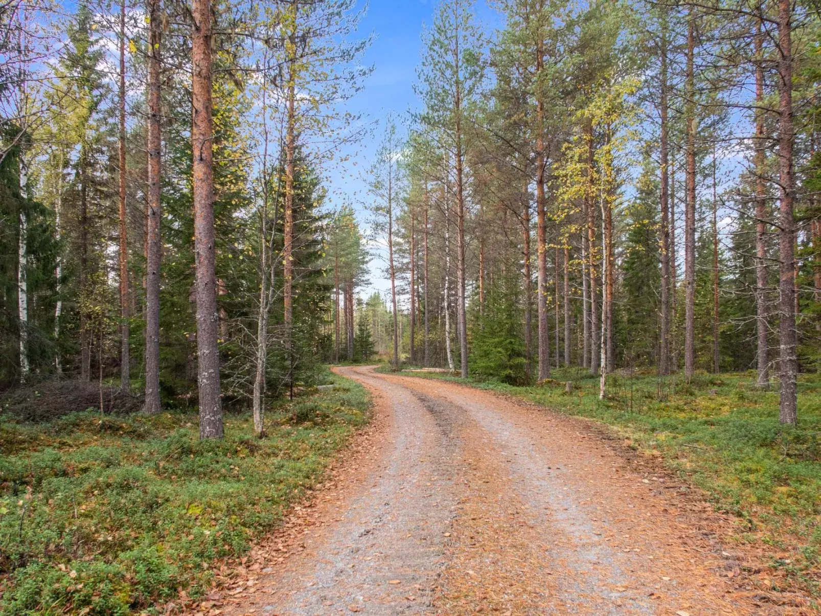 Purontupa-Buiten