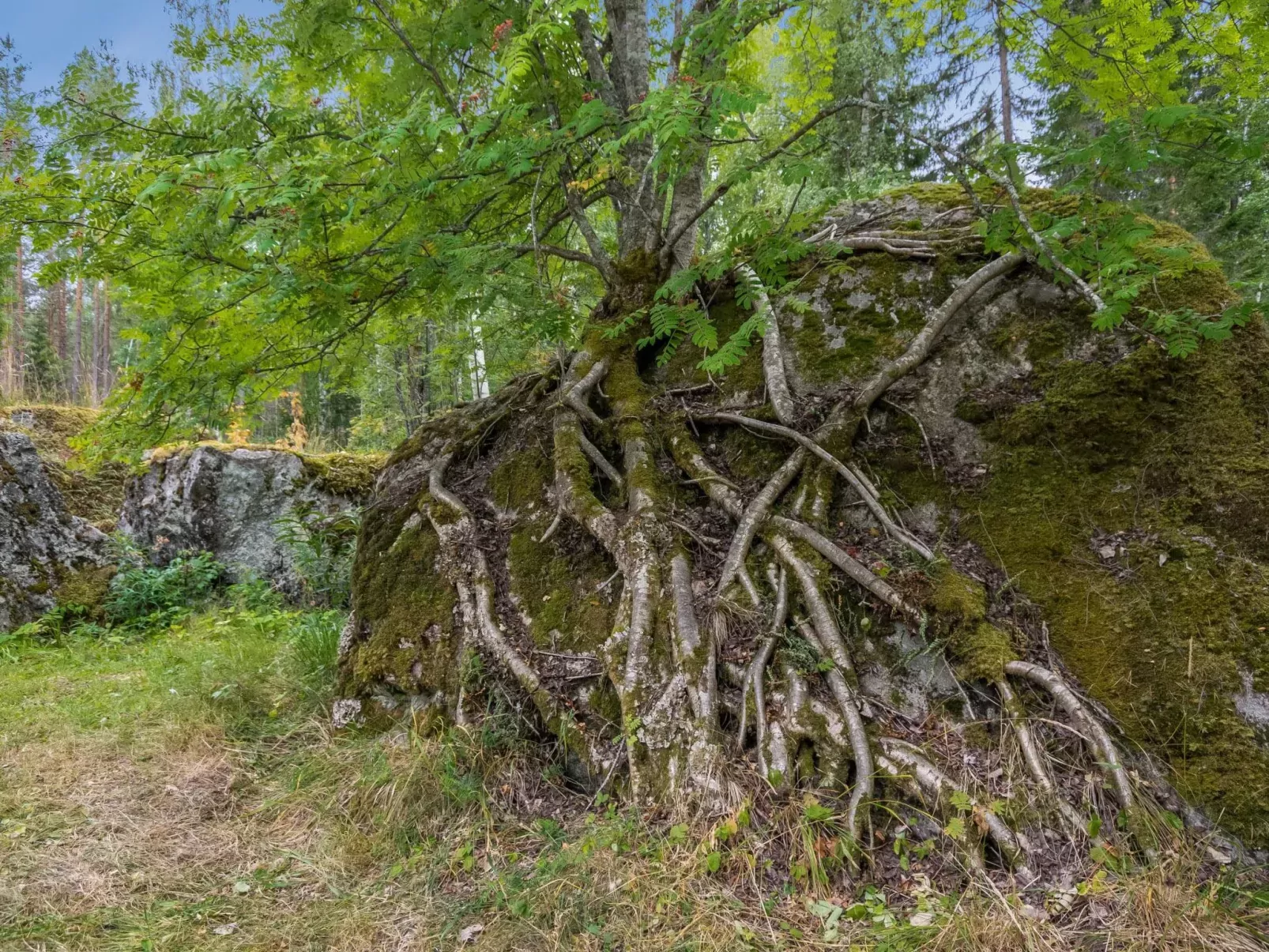 Hiidenlinna-Buiten