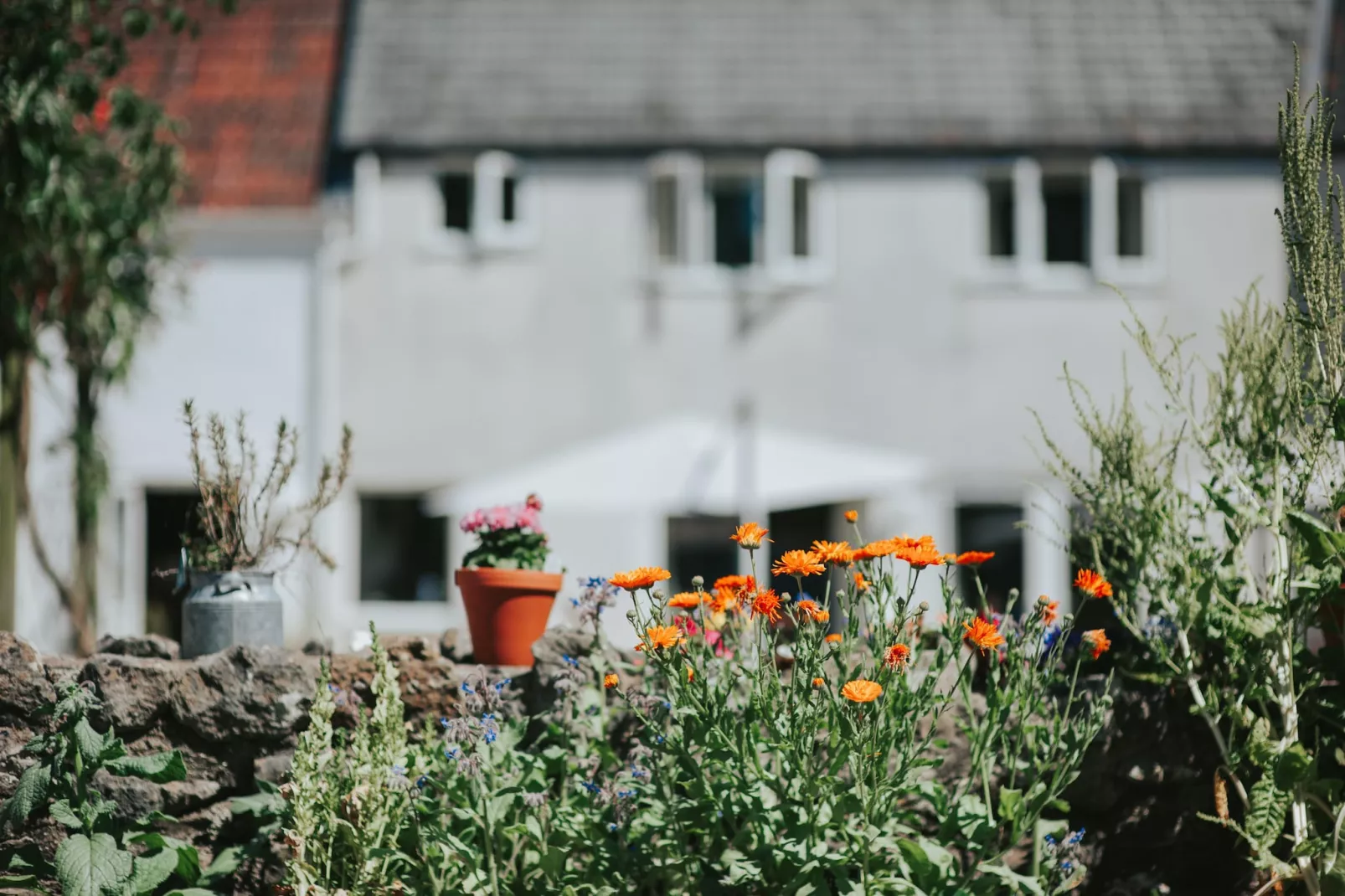 Lordleaze Hotel Sta Double-Buitenkant zomer
