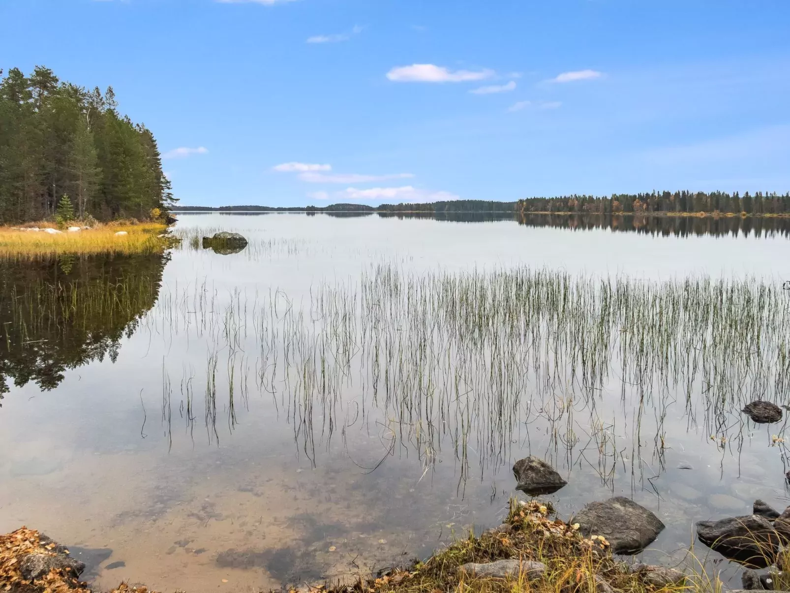 Pähkinä-Buiten