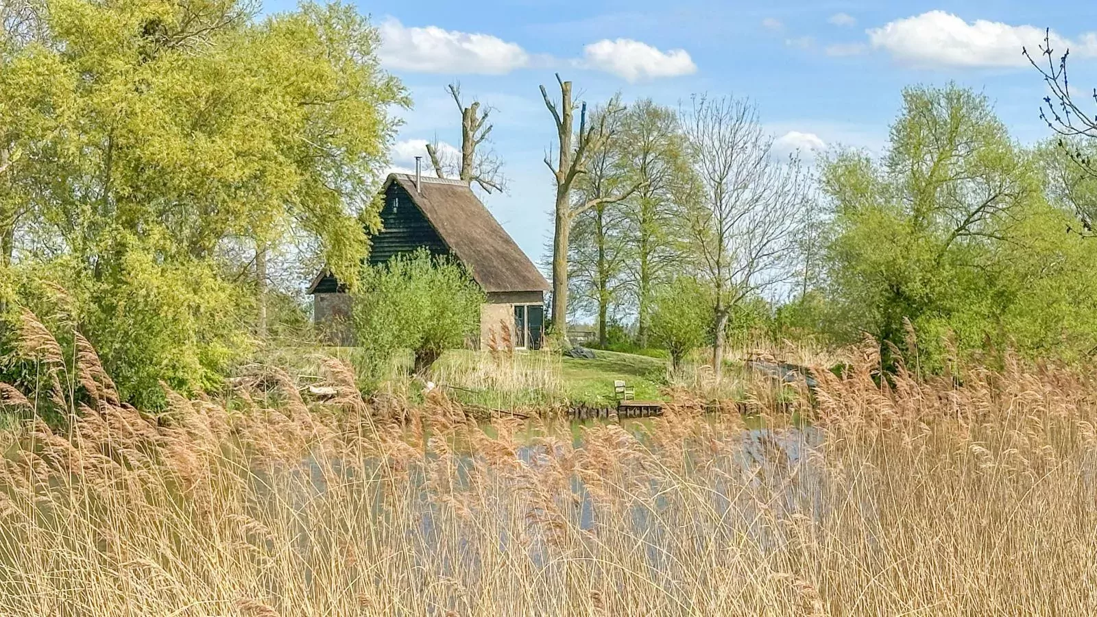 Biesboschhuisje-Buitenkant zomer
