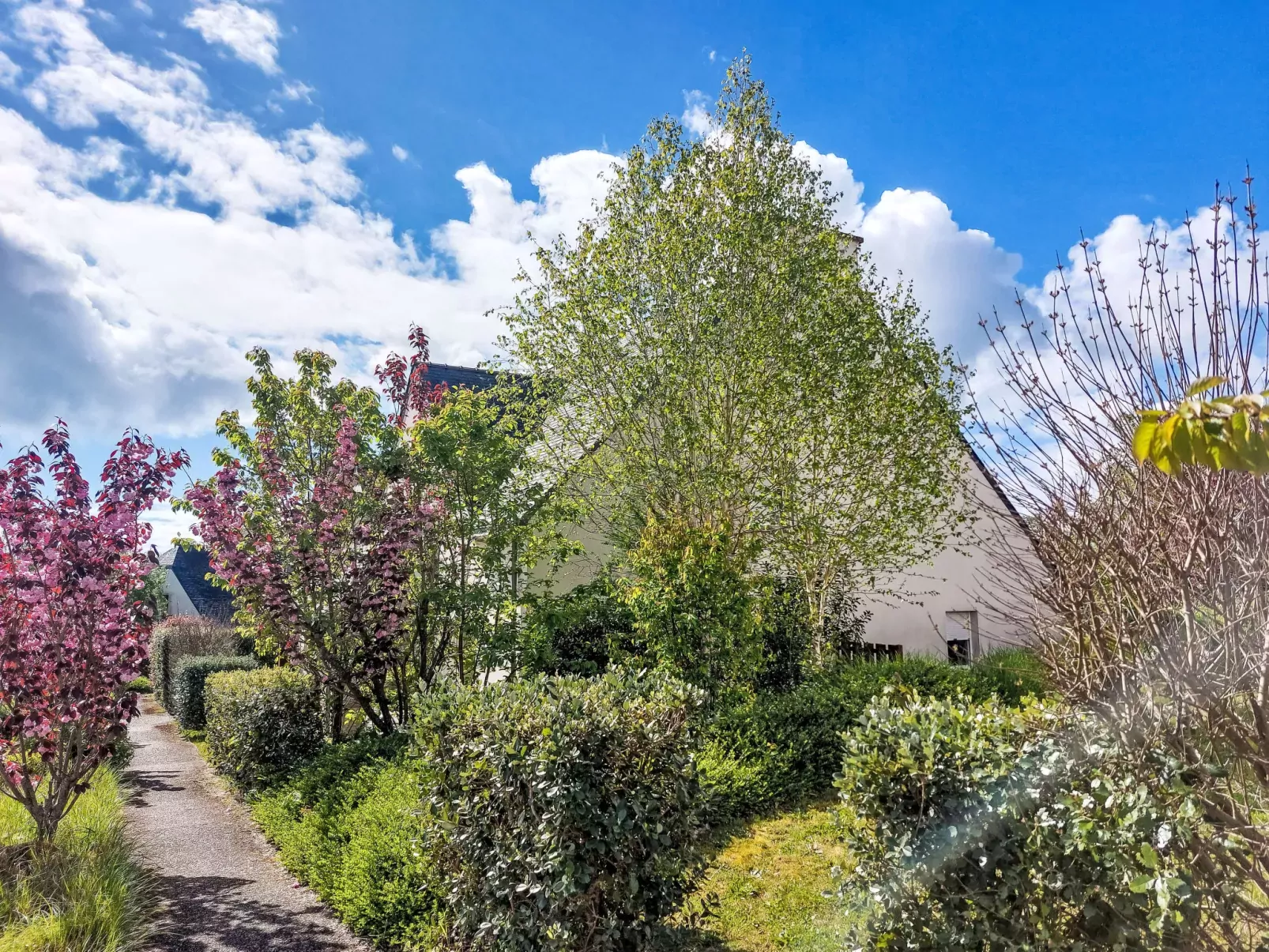 Les Demeures du Parc-Buiten