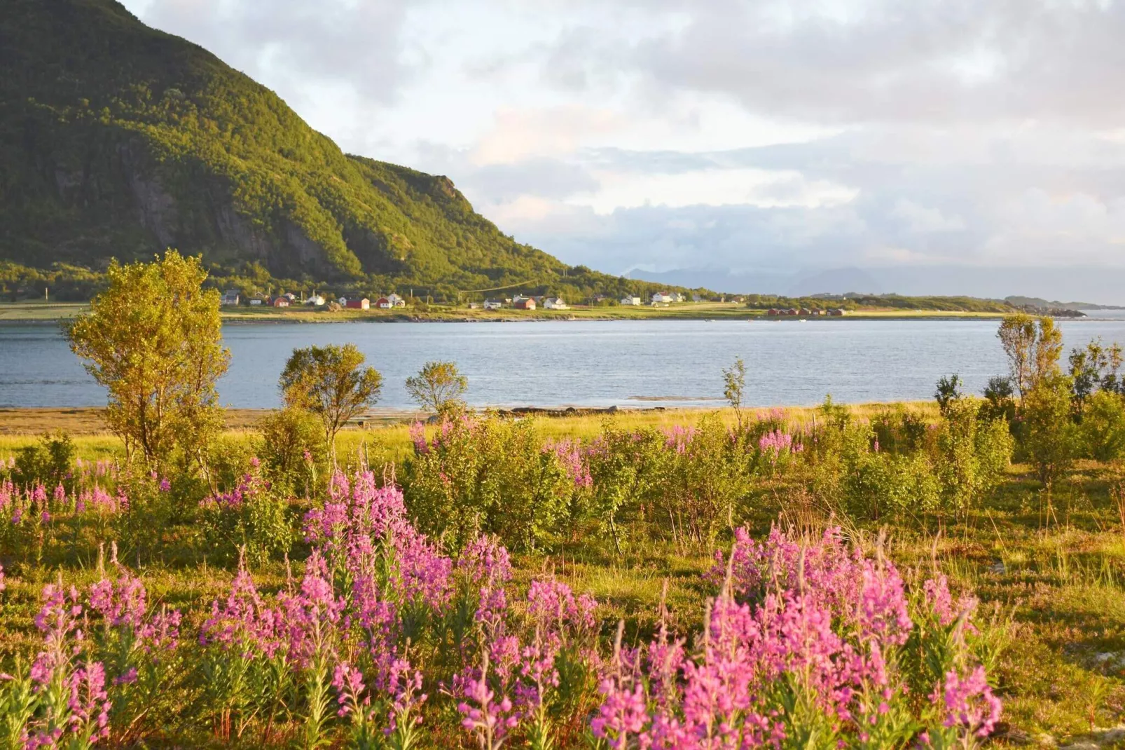 6 persoons vakantie huis in Laukvik-By Traum-Niet-getagd
