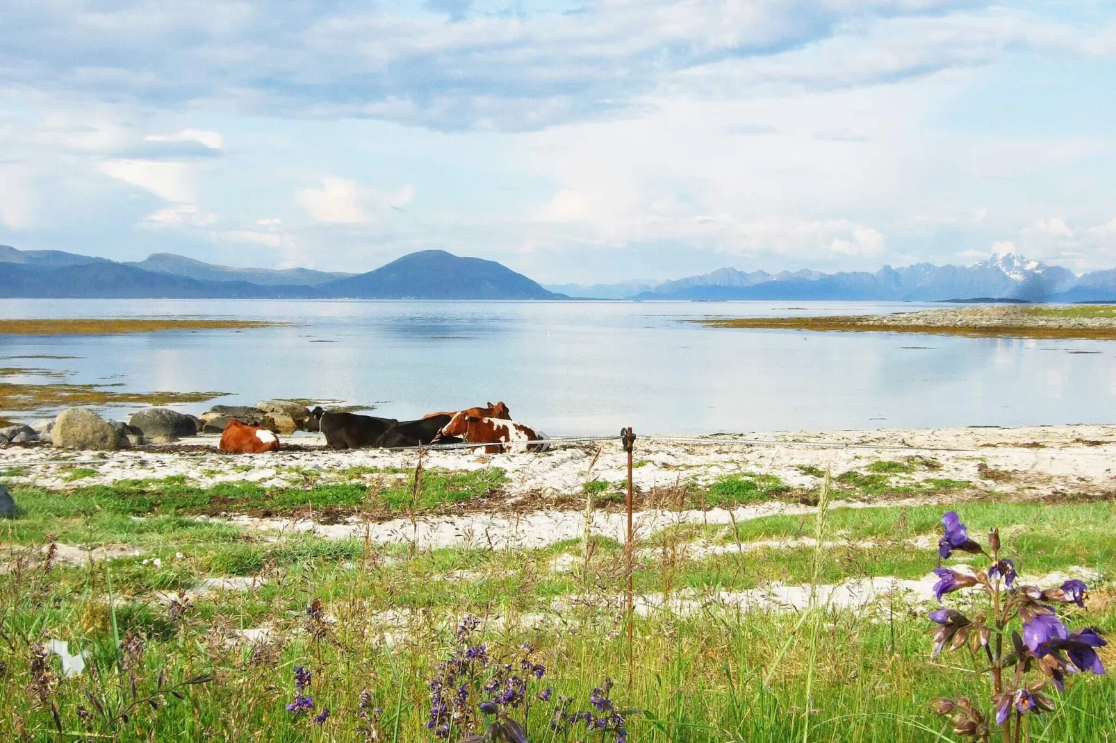 6 persoons vakantie huis in Laukvik-By Traum-Niet-getagd