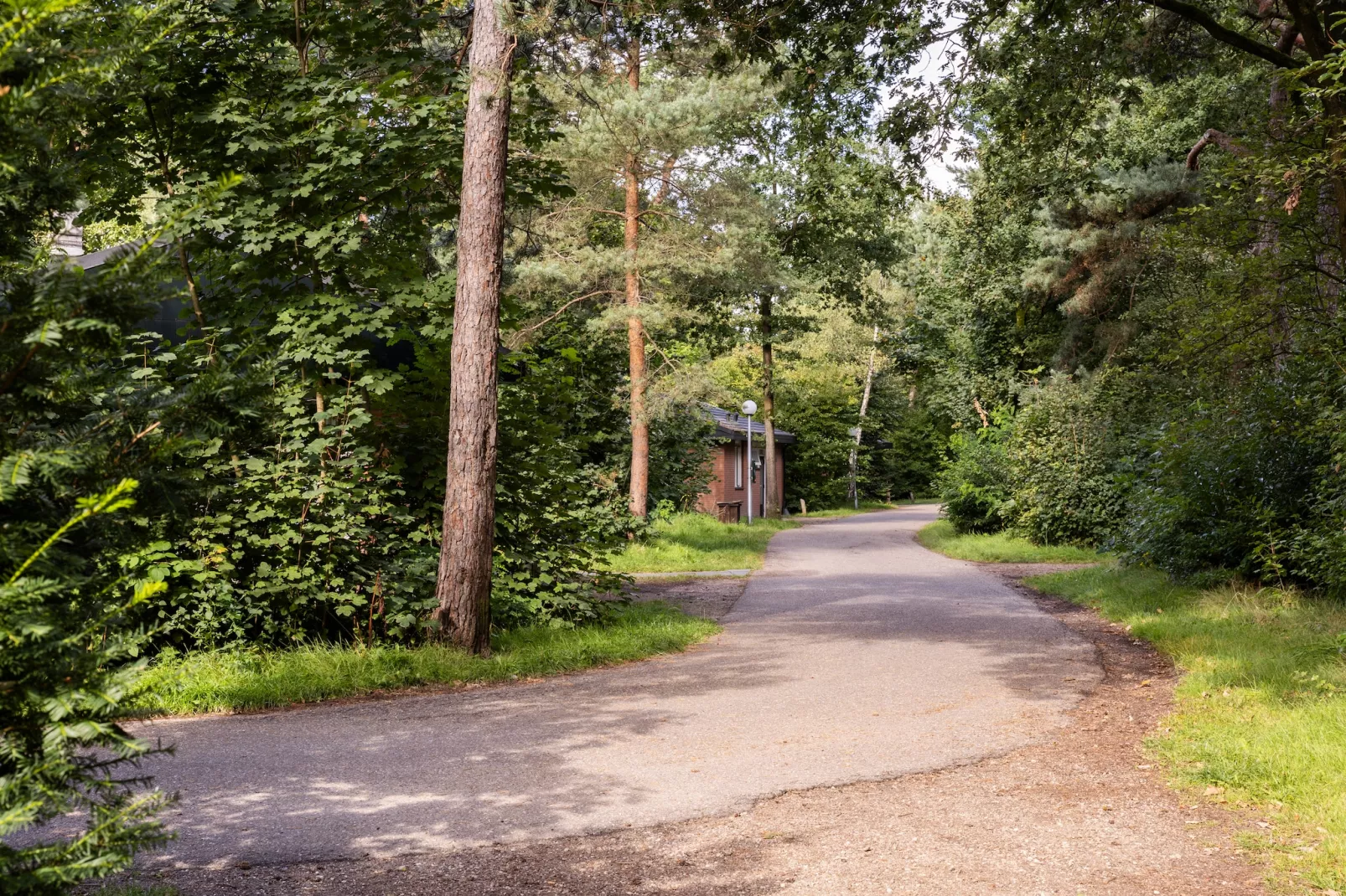 Parc Heihaas 1-Gebieden zomer 1km