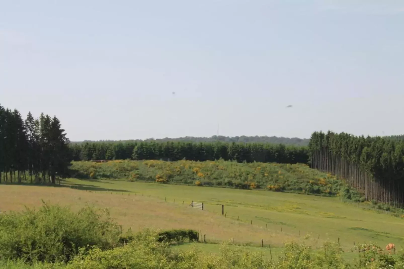 De oude stal-Gebieden zomer 20km