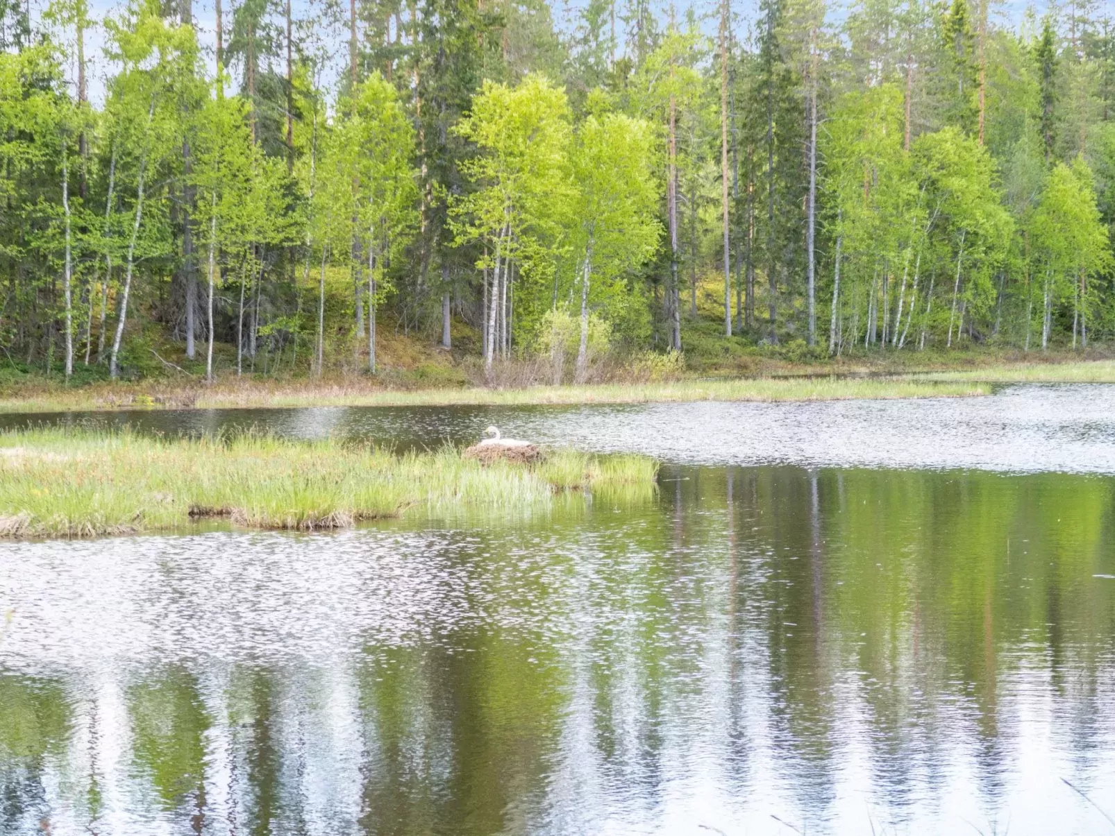 Kotimökki-Buiten