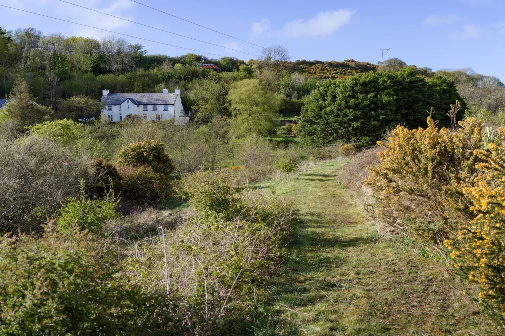 Lower Aylescott Farmhouse-Buitenlucht
