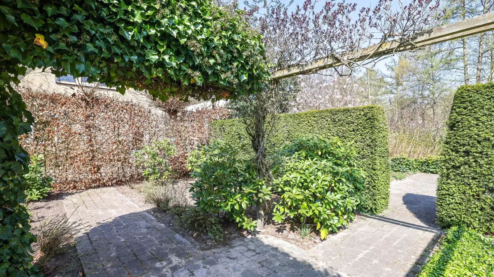 Landhuis 42-Buitenkant zomer